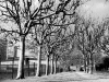 allee