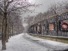 neige_5
