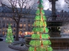 sapin-bouteille