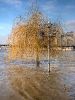 pied-dand-l-eau_a