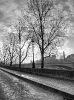 quai-d-orleans