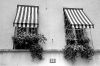 14-rue-visconti