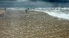plage-de-moliet_b