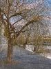 ile-de-la-jatte_5