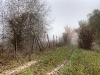 campagne